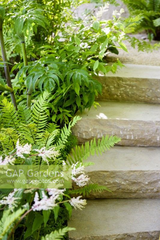 Marches en pierre de Purbeck à côté de plantes qui aiment l'ombre, y compris Maianthemum oleraceum. The Mind Garden, Designer : Andy Sturgeon, RHS Chelsea Flower Show 2022 - Médaille d'or