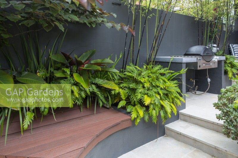 Banc en bois composite incurvé dans un jardin de cour intérieure avec des marches menant à un niveau supérieur.