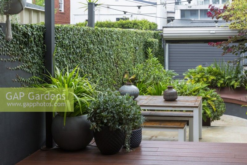 Deux pots sur une terrasse en bois composite donnant sur un jardin de la cour du centre-ville.