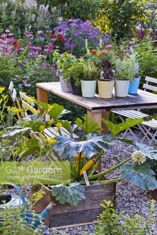 Ensembles de sièges d'extérieur et pots plantés d'herbes et de légumes.
