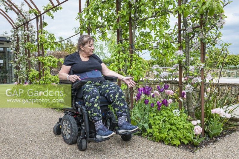 Patient en fauteuil roulant sous l'arche en acier rouillé. Les plantes comprennent : des pommiers en fleurs formés avec des tulipes 'Angelique' et 'Recreado'.Horatio's Garden South West - SalisburyThe Duke of Cornwall Spinal Treatment Center