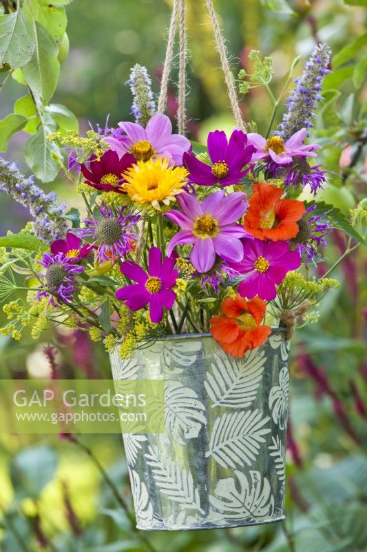 Bouquet de fleurs en pot contenant de la monarde, du dahlia, du cosmos, de la capucine, du souci du pot, de l'agastache et du fenouil.