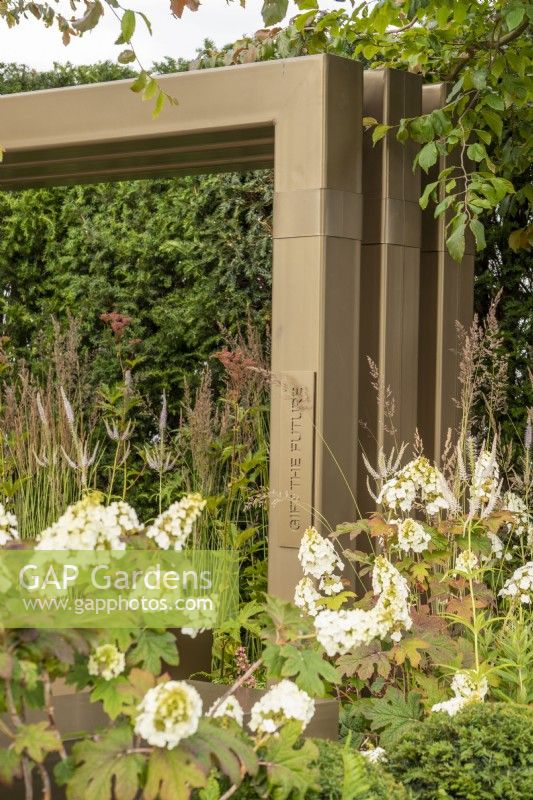 Pergola en métal avec Hydrangea quercifolia en premier plan - Macmillan Legacy Garden : Gift the Future - RHS Hampton Court Flower Festival 2022