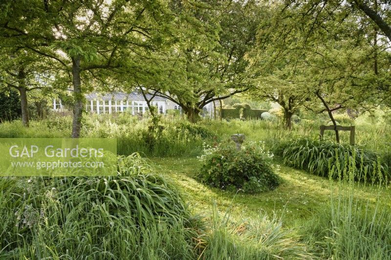 Verger avec herbes hautes, allées fauchées et cadran solaire central en mai dans un jardin de campagne