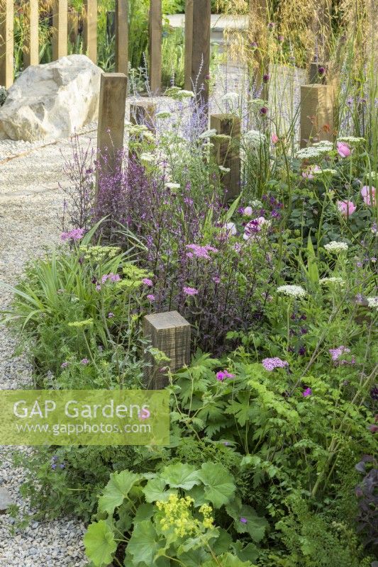 Plantation mixte de vivaces dans A Journey, en collaboration avec le jardin Sue Ryder au RHS Hampton Court Palace Garden Festival 2022 - Conçu par Katherine Holland