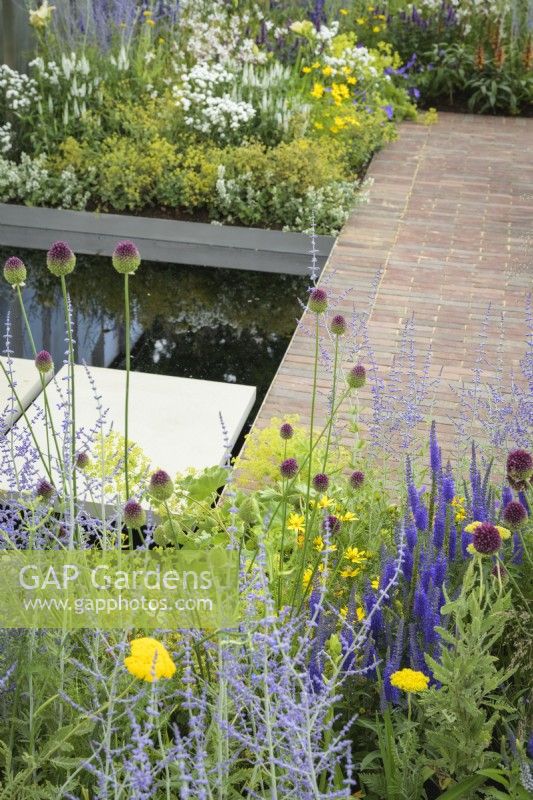 Plantation de vivaces avec Allium sphaerocephalon, Achillea, Perovskia et Agastache devant un petit pont au-dessus de l'eau de la rigole dans le jardin du Joy Club au RHS Hampton Court Palace Garden Festival 2022