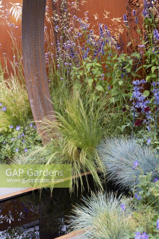 Élément de jardin en acier Corten avec piscine contemporaine et plantation colorée mixte. Le jardin du soleil. Conception : Charlie Bloom et Simon Webster. RHS Hampton Court Garden Festival 2022.