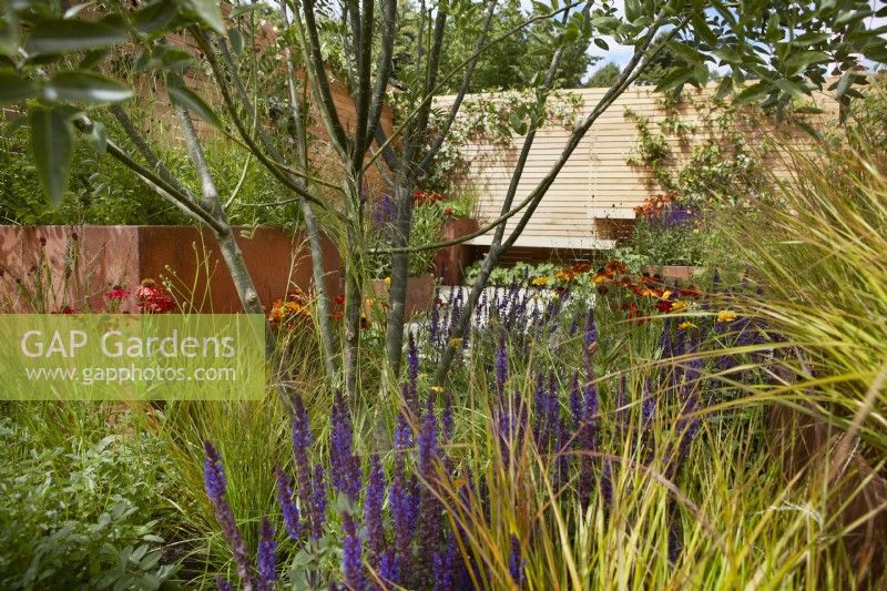 'Lunch Break Garden', RHS Hampton Court Palace Garden Festival, Londres, juillet 2022 - Best in Show Get Started Gardens - Concepteur : Inspired Earth Design