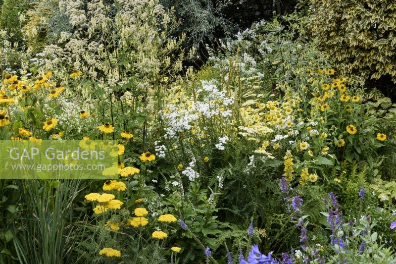 Parterre de fleurs à thème couleur dans un petit jardin de campagne en juillet