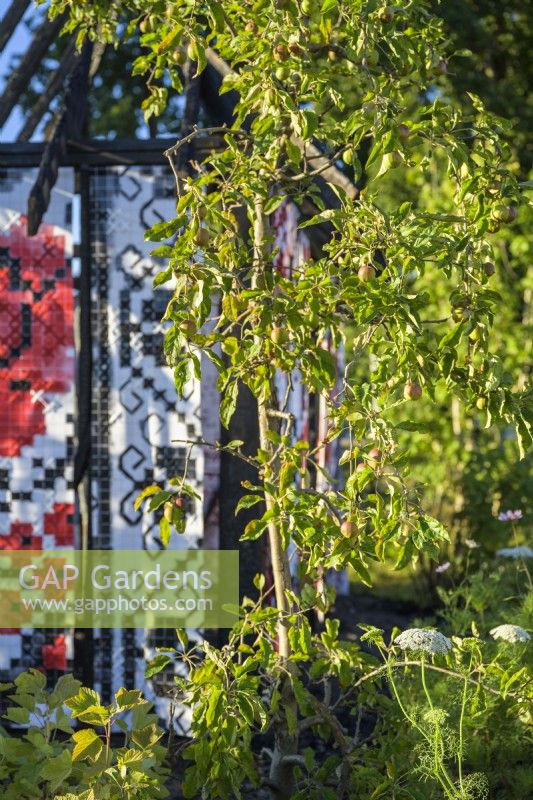 Pommier - Ce qui ne brûle pas jardin au RHS Hampton Court Palace Garden Festival 2022