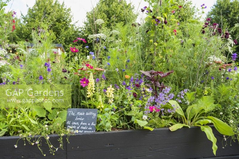 Jardin de coupe Alitex dans un parterre de fleurs surélevé avec des annuelles colorées et un tableau mémo noir au RHS Hampton Court Palace Garden Festival 2022