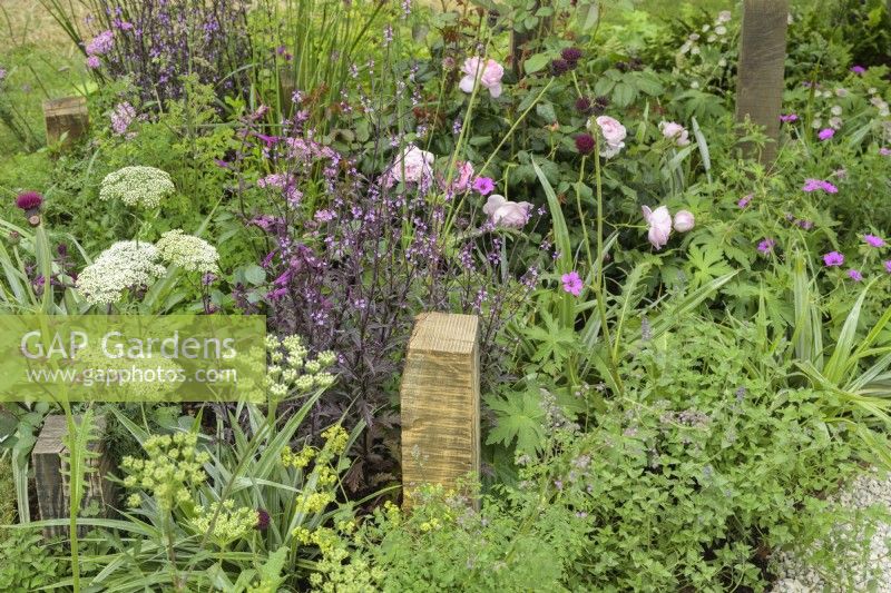 Plantation mixte de vivaces parmi des poteaux en bois dans A Journey, en collaboration avec Sue Ryder garden au RHS Hampton Court Palace Garden Festival 2022