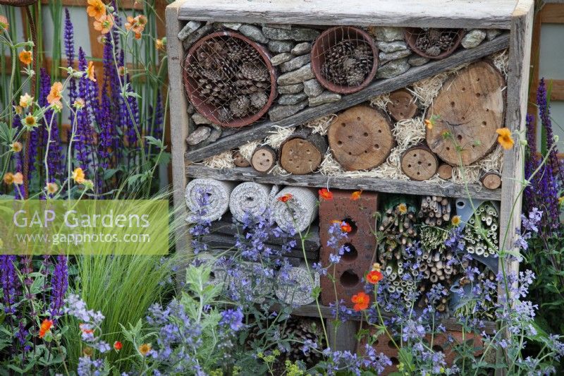 Hôtel d'insectes situé au milieu de plantes vivaces colorées dans le jardin 'Split Screen' au BBC Gardener's World Live 2017 - juin