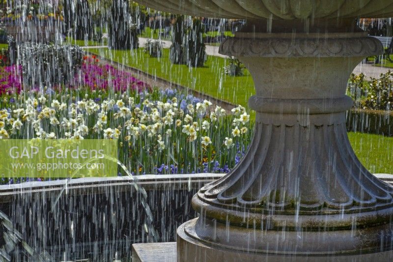 Fontaine à eau avec tulipes et jonquilles Regents Park Garden, Londres au printemps