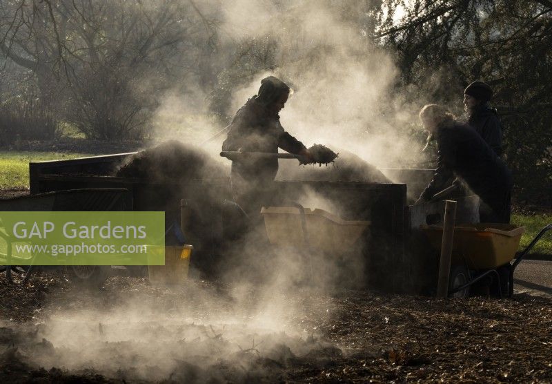 Vapeur s'élevant d'un tas de compost et de jardiniers le pelletant sur le sol à Kew Gardens, Londres.