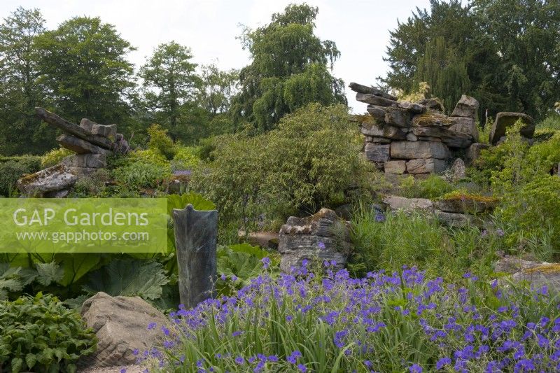 Géraniums et Gunnera manicata autour d'une sculpture en métal et de formations rocheuses à Paxton's Rock Garden, Chatsworth House and Garden.