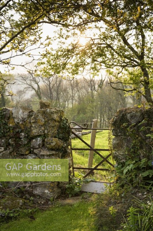Porte menant du jardin à un champ environnant un soir d'avril