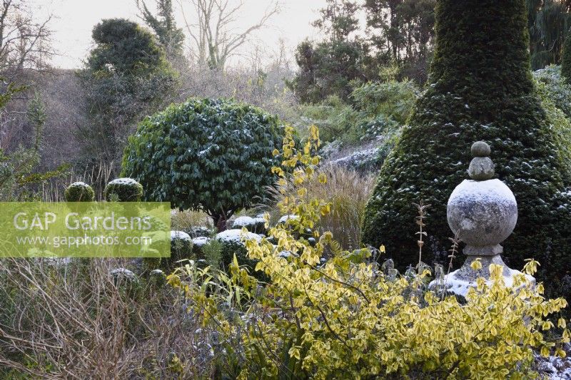 Jardin à la française comprenant des ifs taillés et des buis avec un laurier portugais central et un fleuron en pierre en décembre.