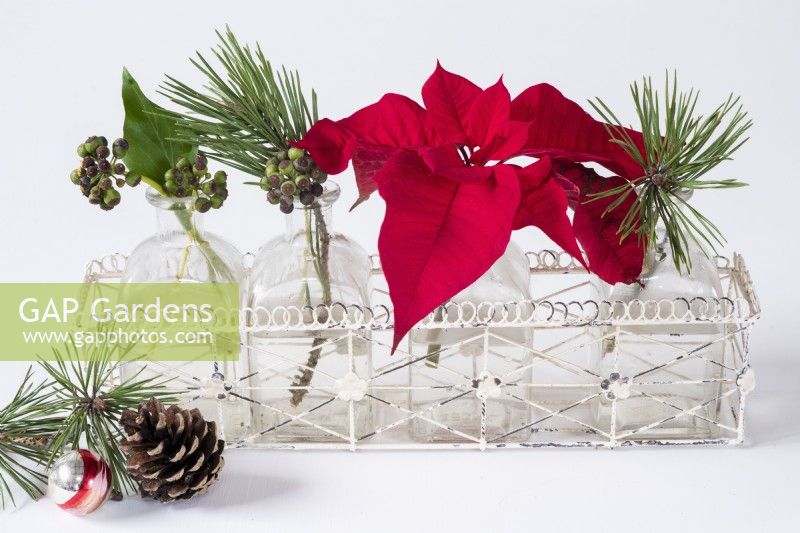 Poinsettia rouge, feuillage de pin, feuilles de lierre et baies disposées dans un présentoir à bouteilles en verre décoratif