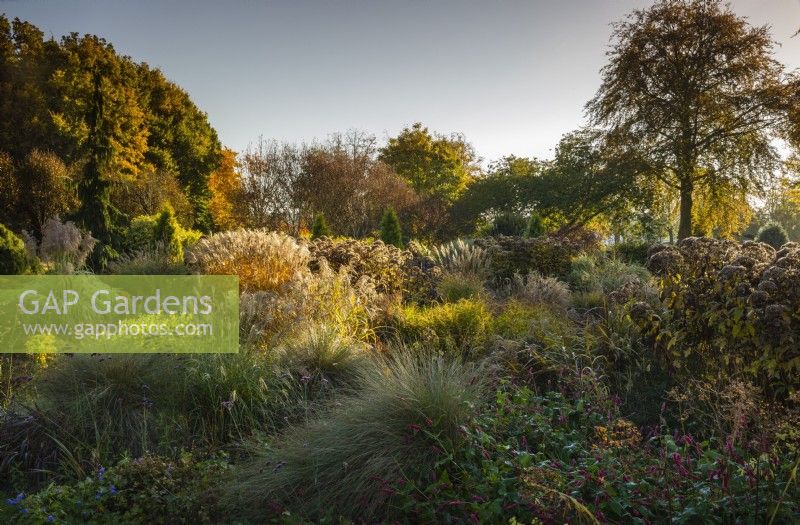 Le jardin d'hiver à Bressingham Gardens en automne. Novembre.