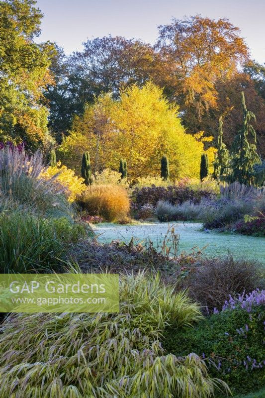 Le jardin d'hiver, les jardins de Bressingham, novembre.