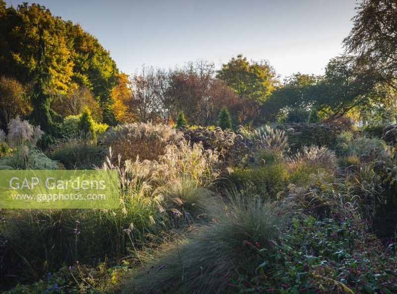 Vue sur les parterres mixtes de graminées et de vivaces aux jardins de Bressingham en novembre.
