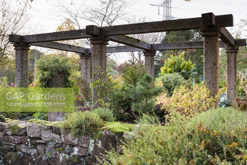 'The ruin' au jardin de John Massey en octobre encadrant un mélange d'arbres et d'arbustes à feuilles caduques et à feuilles persistantes, y compris des conifères.