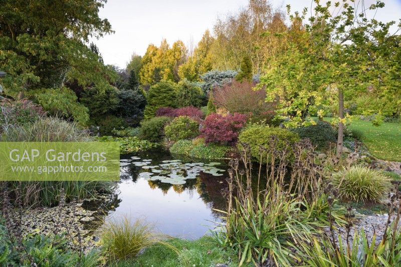 Étang au jardin de John Massey en octobre.