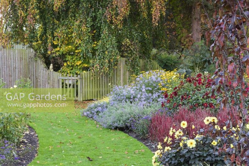 Plantation colorée comprenant des graminées ornementales et des plantes vivaces herbacées tardives dans le jardin d'Adam au jardin de John Massey en octobre.