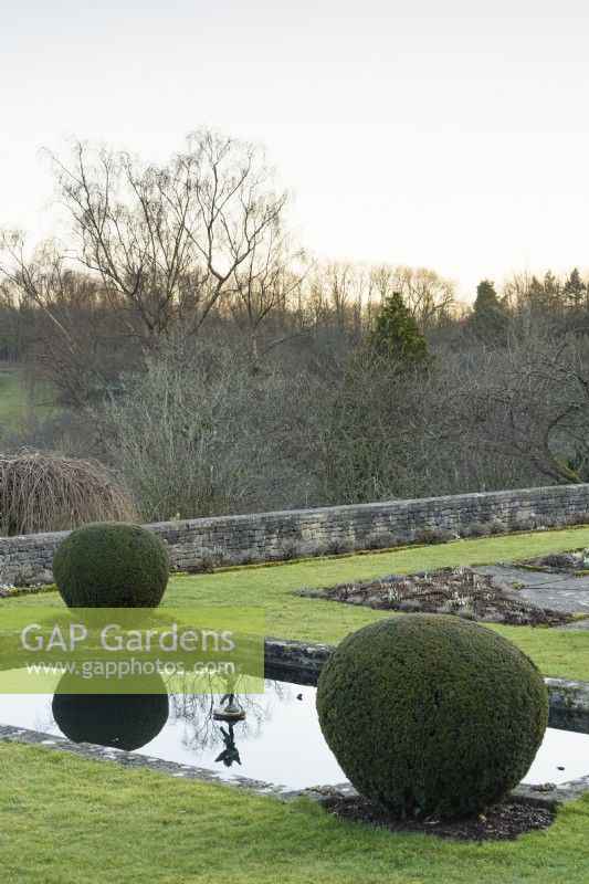 Sphères d'if coupées encadrant l'étang de nénuphars formel sur la terrasse Jewson à Cotswold Farm Gardens en février