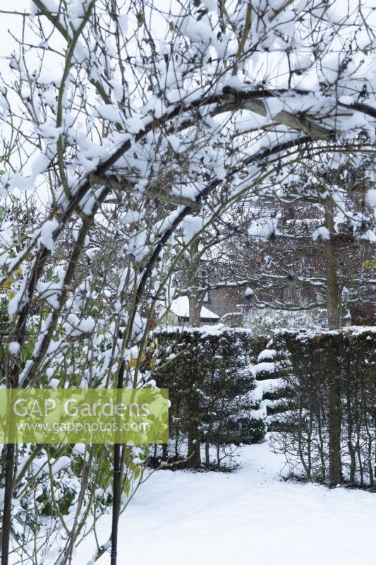 Vue à travers l'arche de rose couverte de neige dans un jardin de ville formel. Décembre