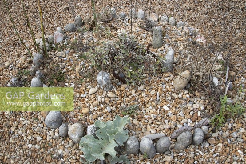 Jardin réalisé sur une plage de galets, par Derek Jarman, Dungeness