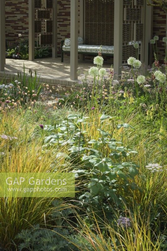 Plates-bandes herbacées plantées d'alliums blancs, d'astrantias, de geums et de graminées ornementales. devant le pavillon fait d'écrans de saule - Stitchers Sanctuary Garden