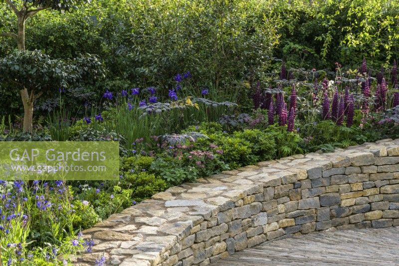 Mur de pierre incurvé et plantation de lupins et d'iris - The RAF Benevolent Fund Garden