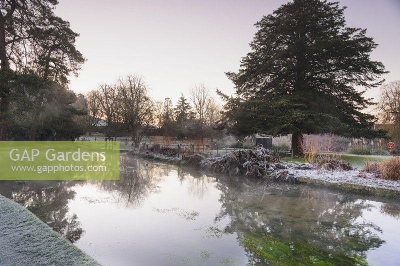 Étang avec brume et réflexions en janvier dans le jardin du palais épiscopal, Wells, Somerset