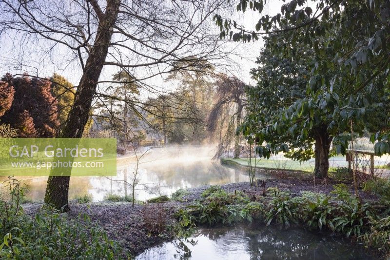 Le Wells Garden au Bishop's Palace Garden en janvier avec des sources bouillonnantes au premier plan.