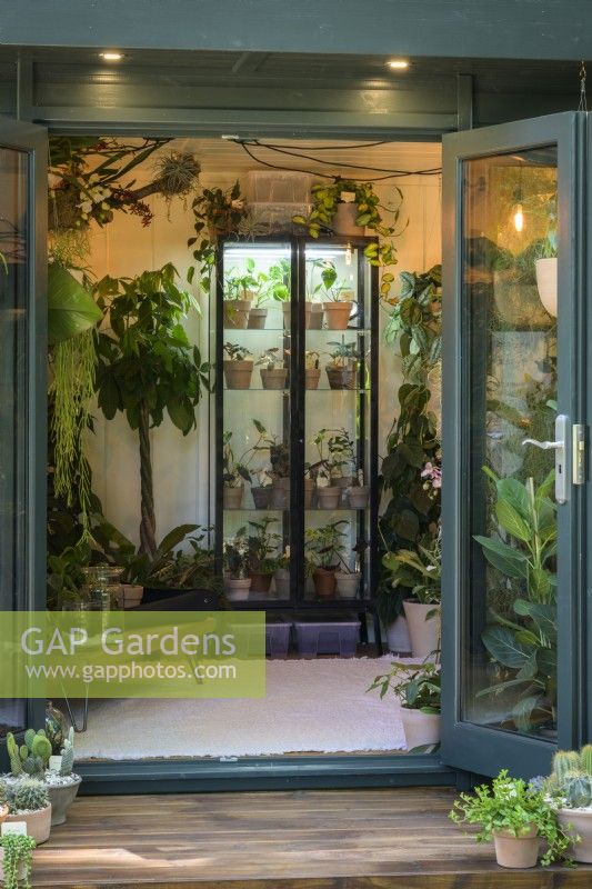 Studio de plantes d'intérieur avec plantes grasses et cactus dans The Aroid AtticStudio : médias sociaux contre réalité - Commanditaire : Malvern Garden Buildings
