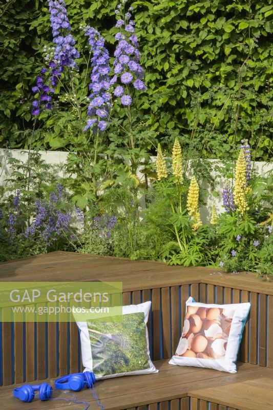 Coin salon en contrebas bordé d'un parterre de fleurs ensoleillé planté de delphiniums, de lupins et d'iris dans le New Blue Peter Garden - Discover Soil, RHS Chelsea Flower Show 2022