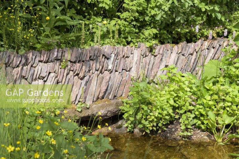 Stonewall sec sur-cultivé au-dessus de l'étang - Un paysage de Grande-Bretagne rewilding .Médaille d'or et Best in Show