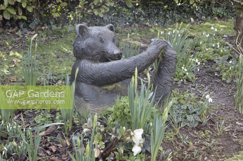 Une sculpture d'ours en résine de bronze se trouve dans un parterre de fleurs d'hiver. Sculpture réalisée par Suzi Marsh. Février.