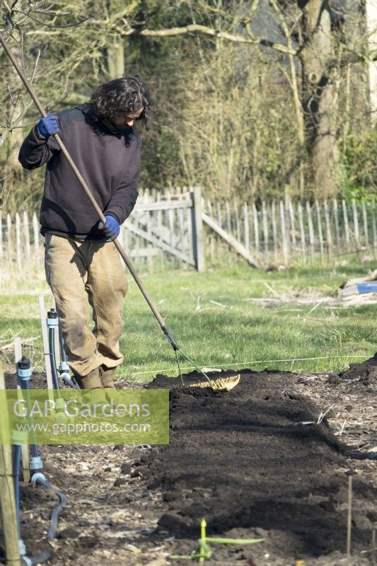 Homme divisant les tas de terre dans le jardin sans creuser avec un râteau.