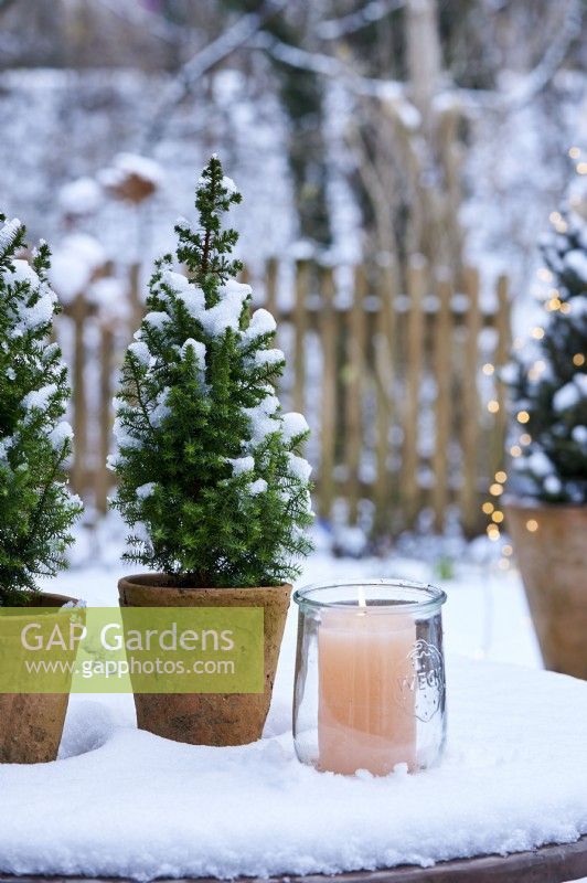 Arrangement de table de Picea glauca 'Conica' dans un pot en céramique entouré de neige et d'une bougie avec vue sur le jardin enneigé