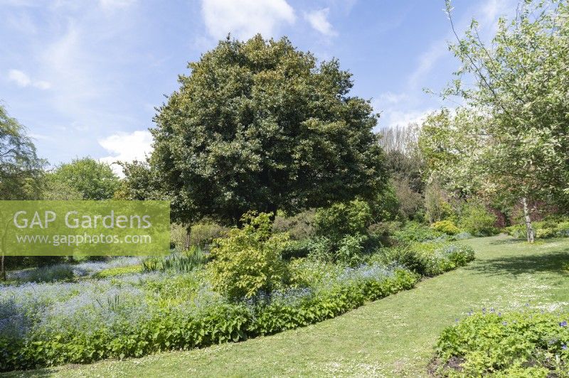 Highdown Gardens Worthing Angleterre Royaume-Uni Jardins de craie gérés par le conseil dans les collines au-dessus de Worthing. Jardin du milieu