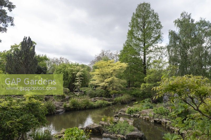 Regent's Park Londres Angleterre Royaume-UniJapanese Island Garden