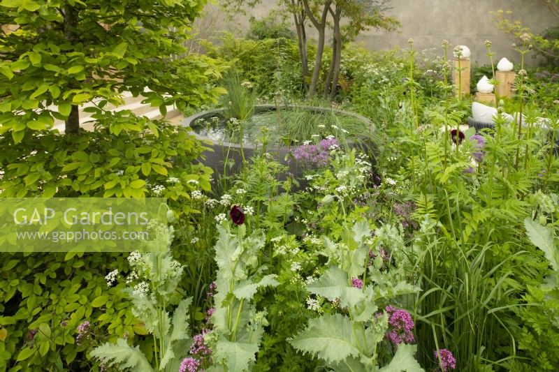 Une pièce d'eau circulaire entourée de plantes herbacées dans le RBC Brewin Dolphin Garden au RHS Chelsea Flower Show 2023