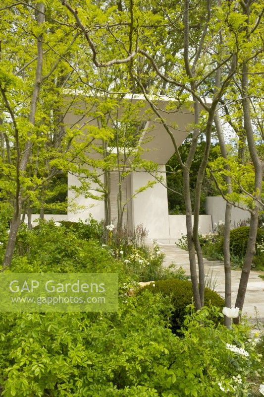 Un grand pavillon au-dessus des arbres et de la plantation dans le Memoria and GreenAcres Transcendence Garden, un jardin d'exposition conçu par Gavin McWilliam et Andrew Wilson au RHS Chelsea Flower Show 2023