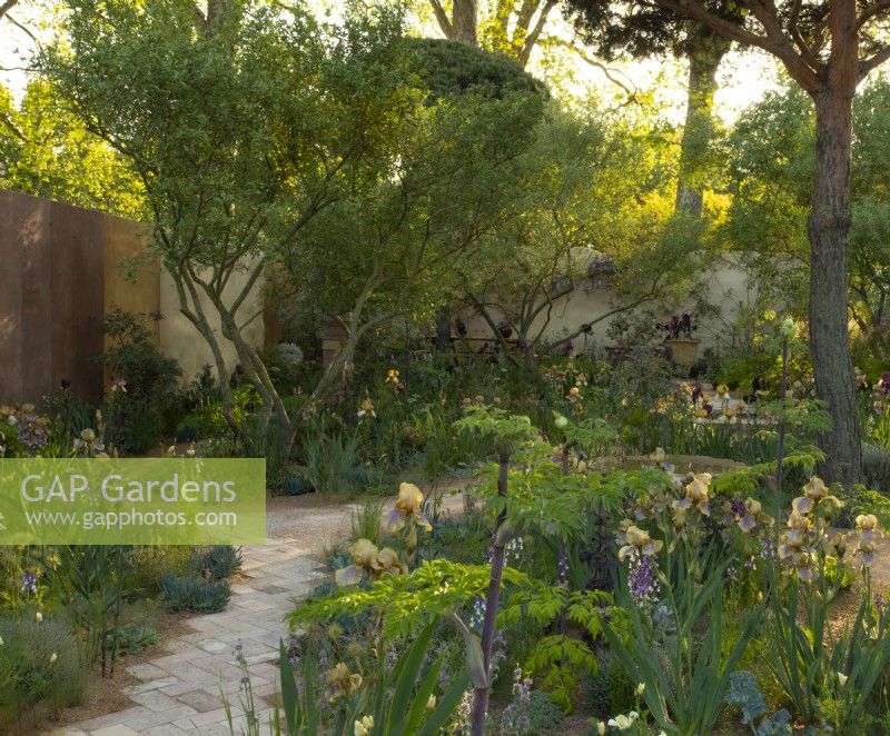 Benton Irises in the Nurture Landscapes Garden, un jardin d'exposition conçu par Sarah Price au RHS Chelsea Flower Show 2023