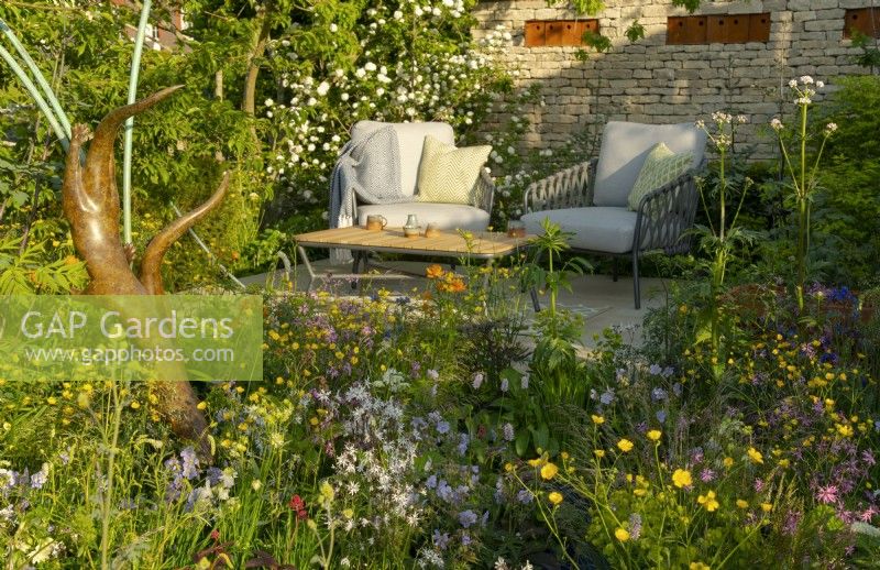 Un coin salon entouré de Taxus baccata, Viburnum opulus, Rununculus repens et un mur de pierre dans le jardin RSPCA, un jardin sanctuaire conçu par Martyn Wilson au RHS Chelsea Flower Show 2023