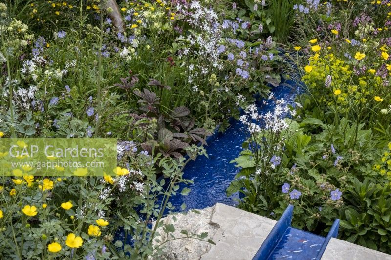 Le filet bleu en plastique recyclé est entouré de fleurs sauvages dont : Lychnis flos-cuculi 'White Robin', Geranium pratense et Ranunculus acris. Le jardin de la RSPCA, concepteur : Martyn Wilson.