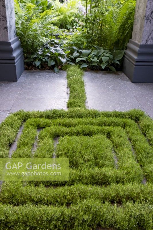 Un labyrinthe créé à partir de Sagina subulata - Irish Moss dans le pavage du Myeloma UK - A Life Worth Living Garden, gagnant d'or. Créateur : Chris Beardshaw